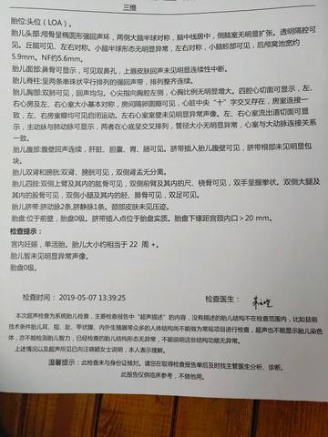 journal_insert_pic_1231179624