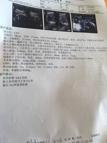 journal_insert_pic_1231477732