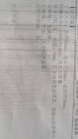 journal_insert_pic_1232174764