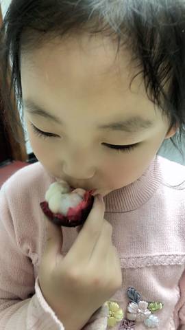 journal_insert_pic_1232620966