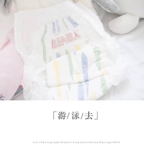 journal_insert_pic_1232399629