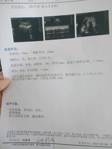 journal_insert_pic_1232736733