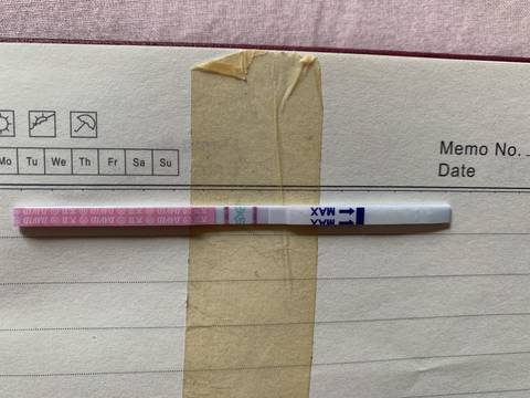 journal_insert_pic_1232682525
