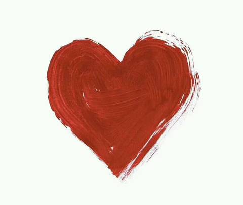 journal_insert_pic_1232596642