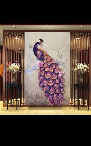 journal_insert_pic_1232260418