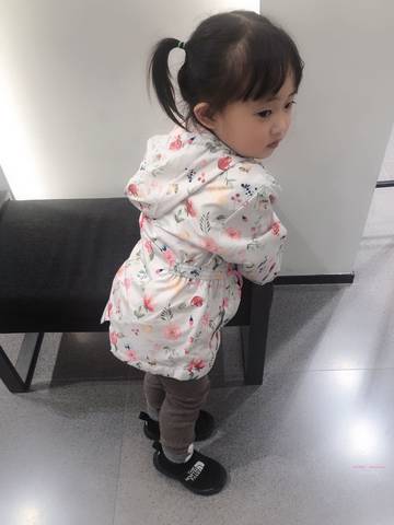 journal_insert_pic_1232401436