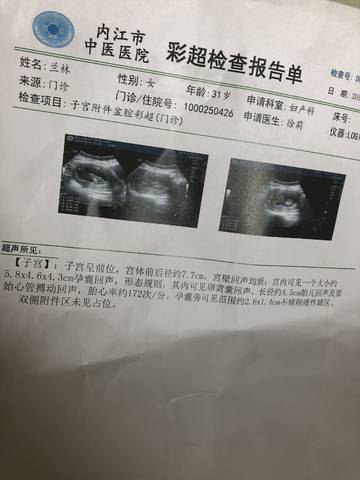journal_insert_pic_1233003585