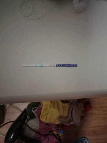 journal_insert_pic_1233206103