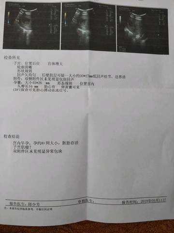 journal_insert_pic_1233521382