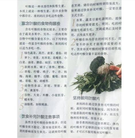 journal_insert_pic_1233469301