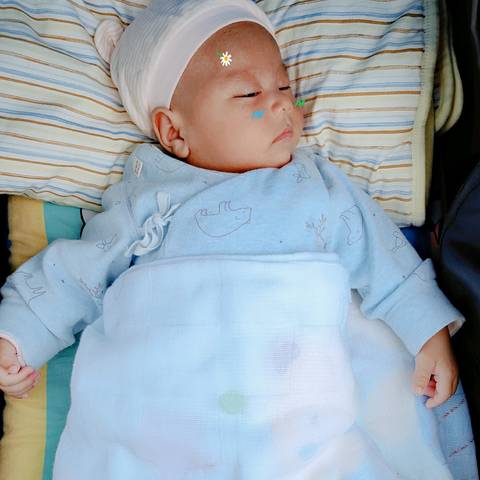 journal_insert_pic_1235318708