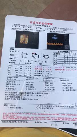 journal_insert_pic_1236735566