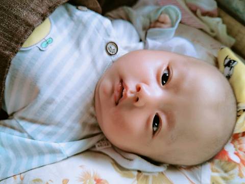 journal_insert_pic_1236585171