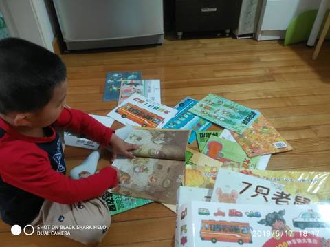 journal_insert_pic_1237535015