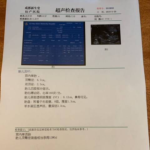 journal_insert_pic_1239028272