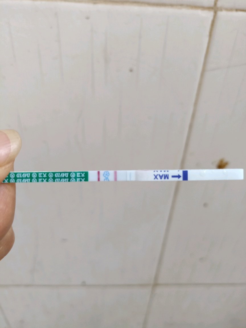 这个是不是怀孕了？