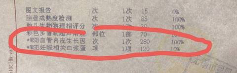 journal_insert_pic_1292015553