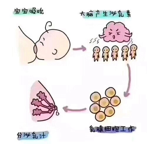 育儿分享🍀