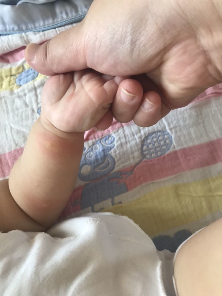 求告知