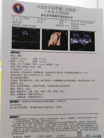 journal_insert_pic_1325737409