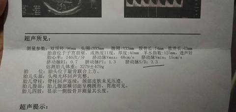 journal_insert_pic_1330671833