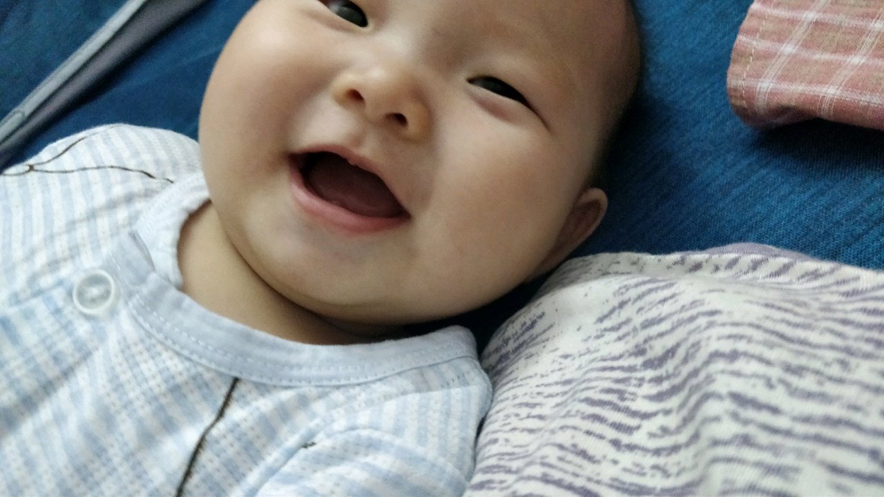 六个月六天，
