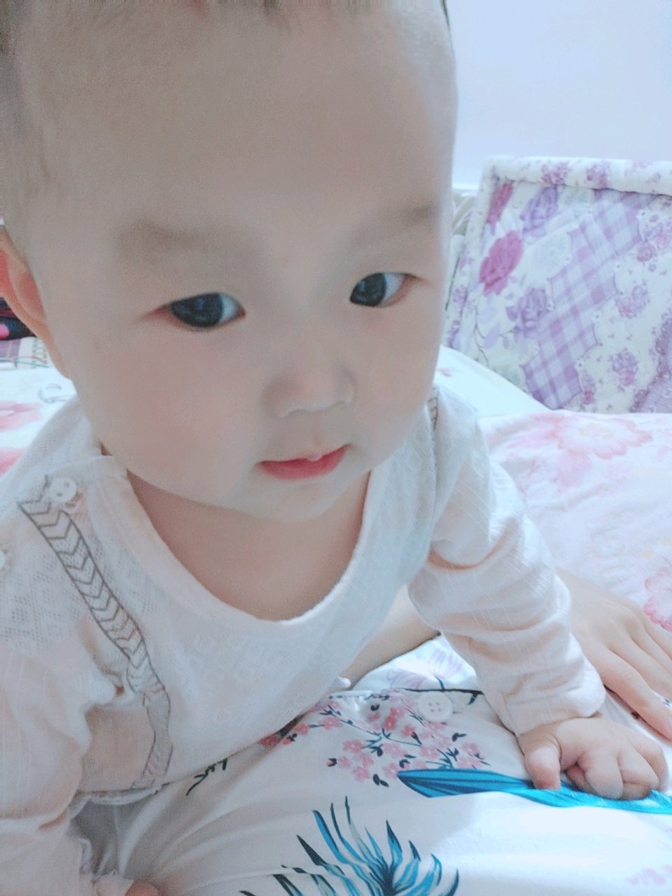 9个月宝宝老是便秘