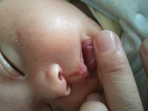 journal_insert_pic_1355198720