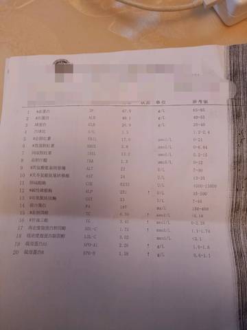 journal_insert_pic_1355431754