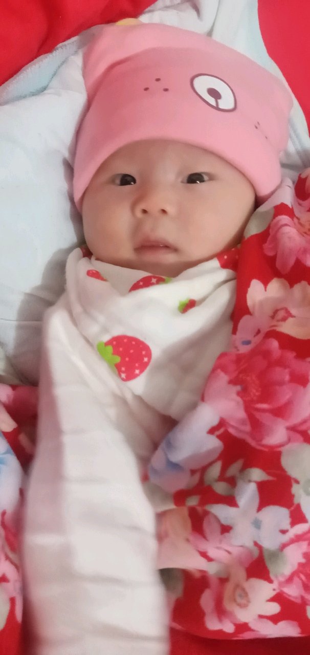 小树苗