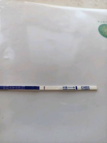 journal_insert_pic_1388419403