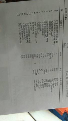 journal_insert_pic_1420734281