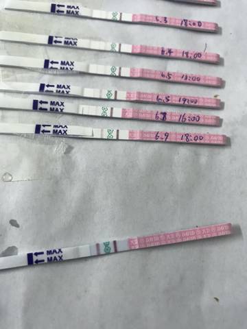 journal_insert_pic_1442520882