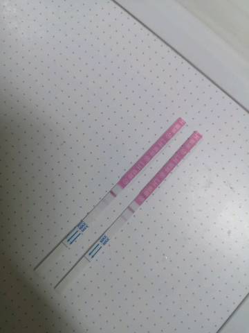 journal_insert_pic_1488752022