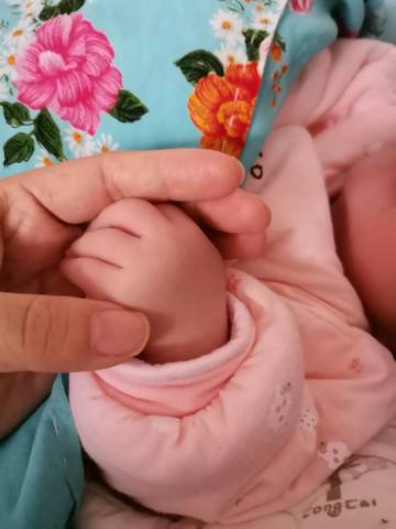 journal_insert_pic_1506421434