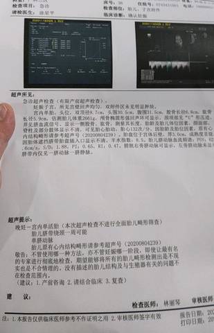 journal_insert_pic_1508680635