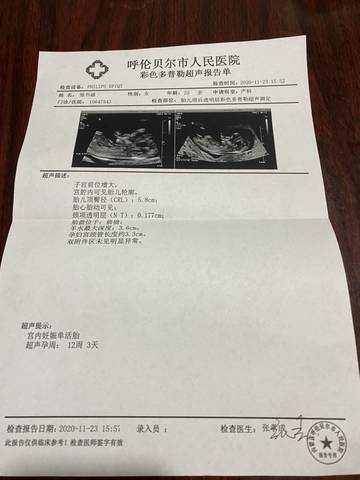 journal_insert_pic_1508935594