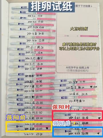 journal_insert_pic_1521512147