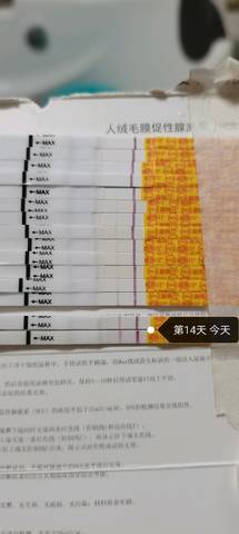 journal_insert_pic_1533752390