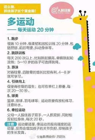 journal_insert_pic_1545883138