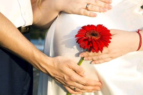 journal_insert_pic_1547058803