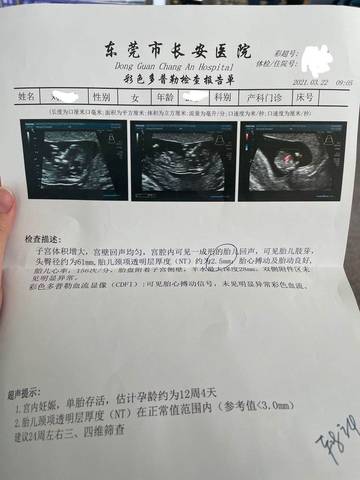 journal_insert_pic_1554910920