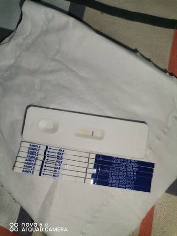journal_insert_pic_1573295580