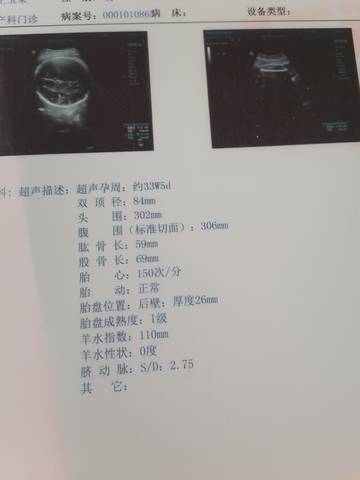 journal_insert_pic_1573296418