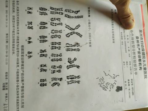 journal_insert_pic_1574193641