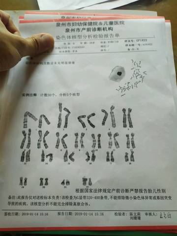 journal_insert_pic_1574193627