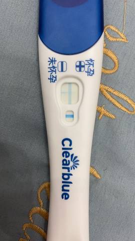 八号排卵 今天是排卵第十三天 可丽蓝测试出来这样是怀孕了吗