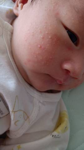 journal_insert_pic_1603158659