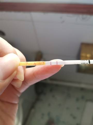 排卵试纸是两条特别明显的杠是排卵吗?这两天白带特别多