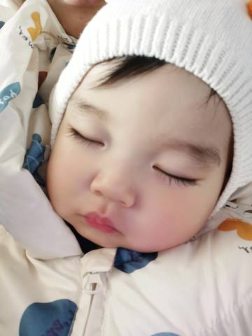 journal_insert_pic_1672951911